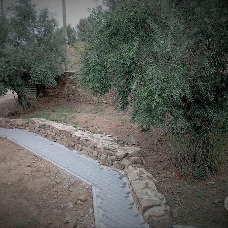 Retiro Da Cegonha Villa Crato Kültér fotó