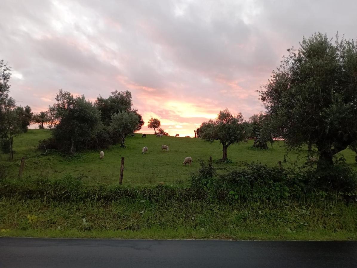 Retiro Da Cegonha Villa Crato Kültér fotó