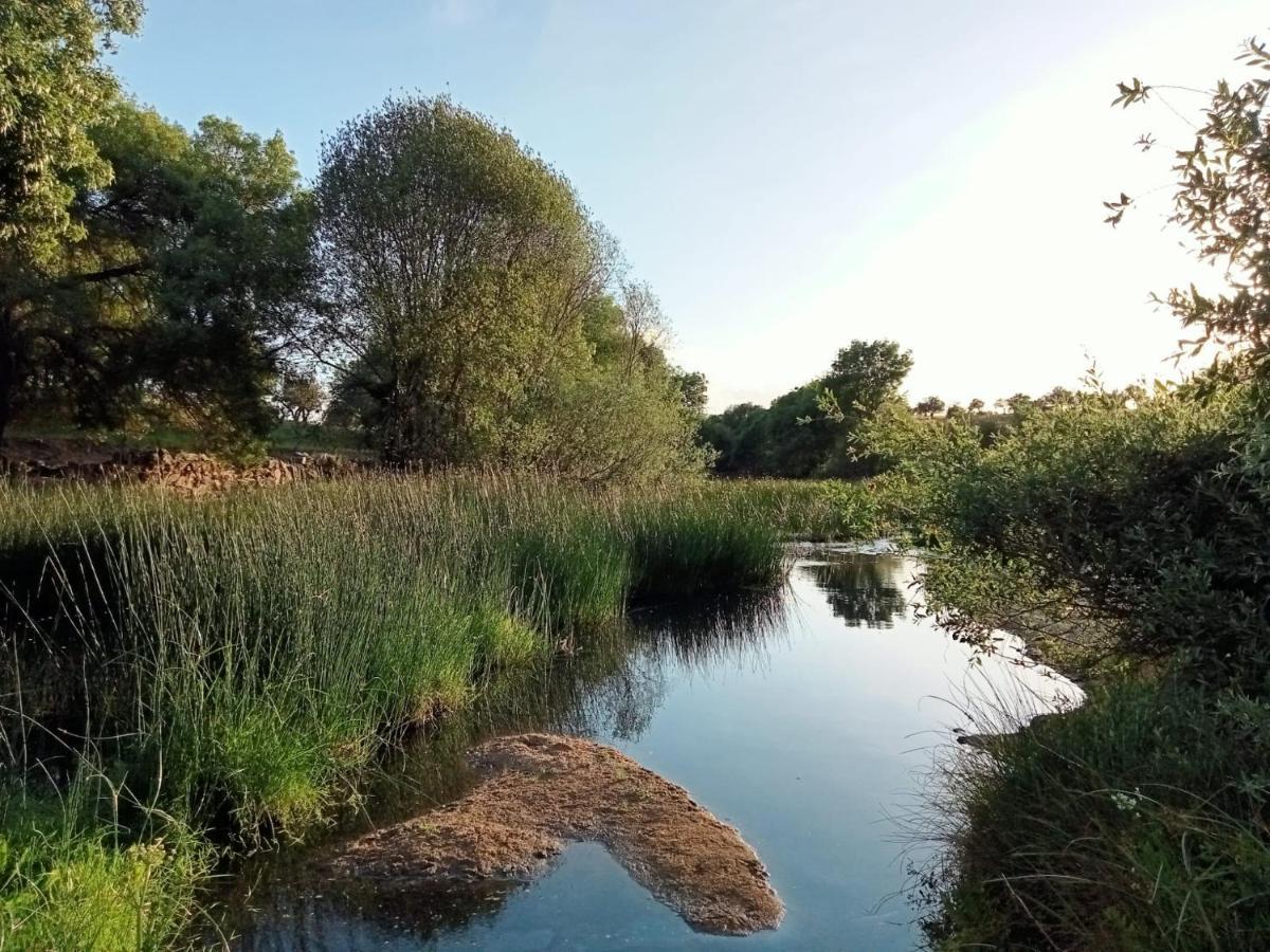 Retiro Da Cegonha Villa Crato Kültér fotó